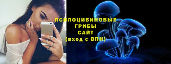 соль ск Медногорск