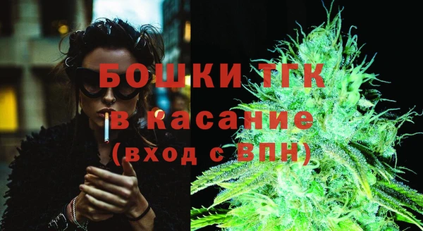 соль ск Медногорск