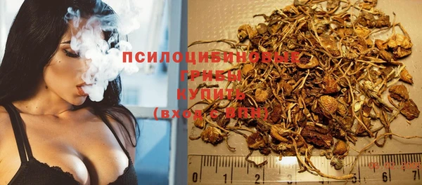 соль ск Медногорск