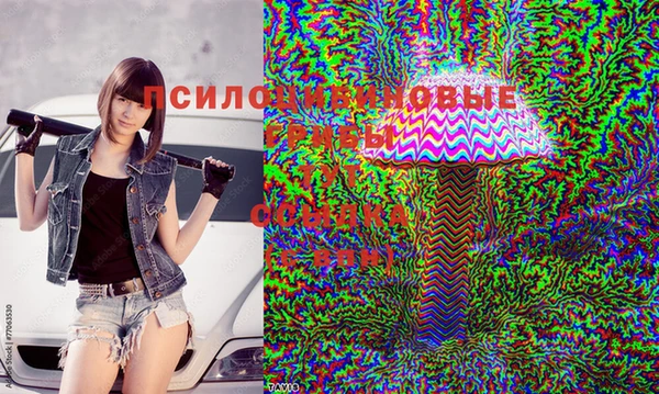 соль ск Медногорск