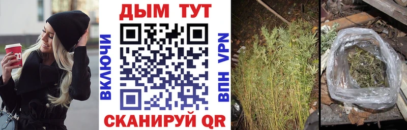 Каннабис AK-47 Купить Харовск